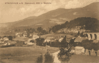 STEINHAUS