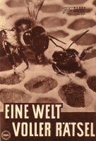 Eine Welt voll Rätsel