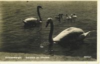 Attersee