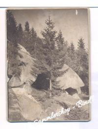 PUTZNICKELHÖ. BÖHMERW.