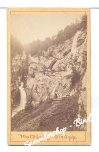 WALDBACH STRUPP  1870
