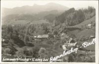 GAMS 1953