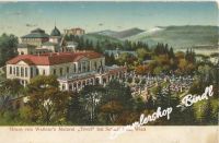 WIEN um 1910