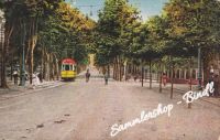 Unbenannt Scannen 11