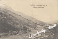 WALD um 1921