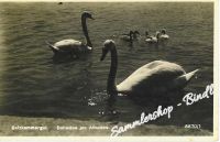 Attersee